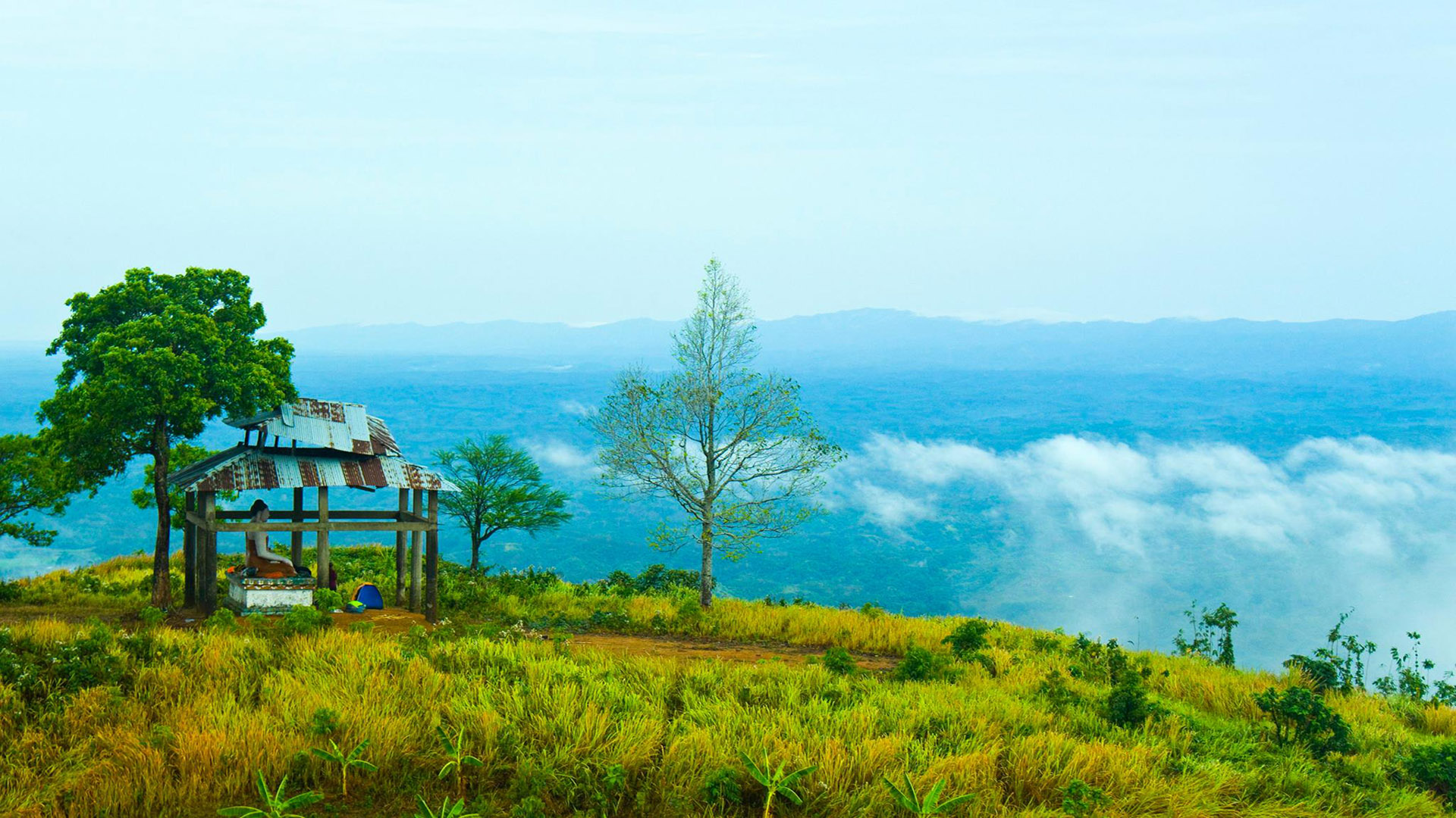 মারায়নতং